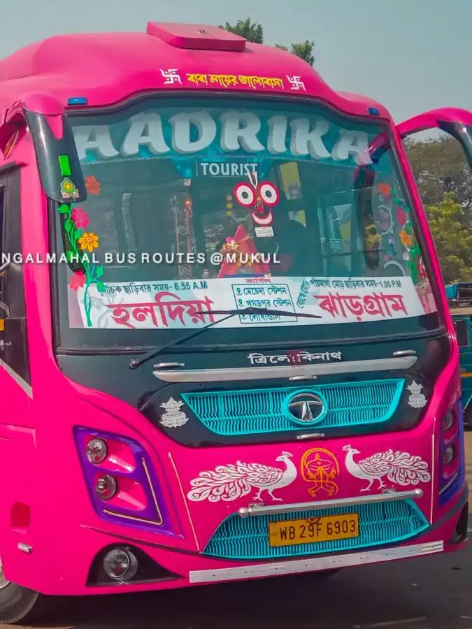 Bus