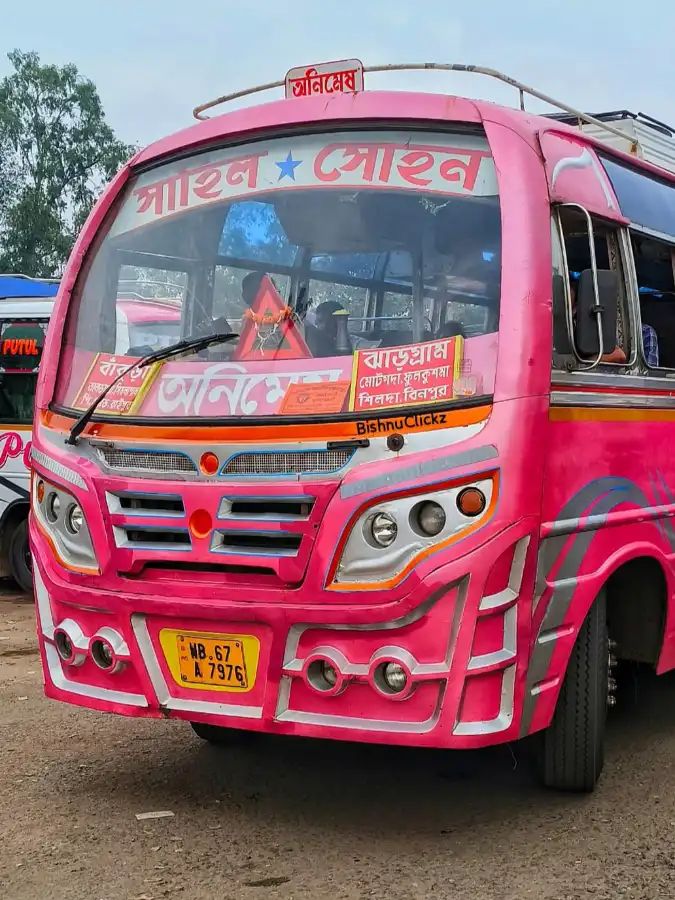 Bus
