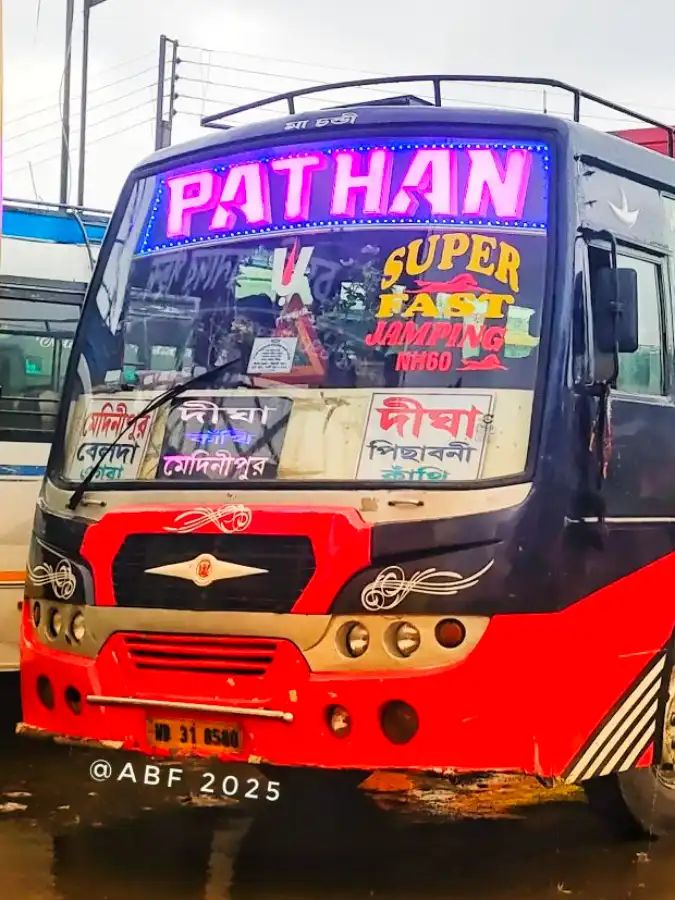 Bus