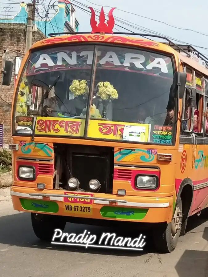 Bus