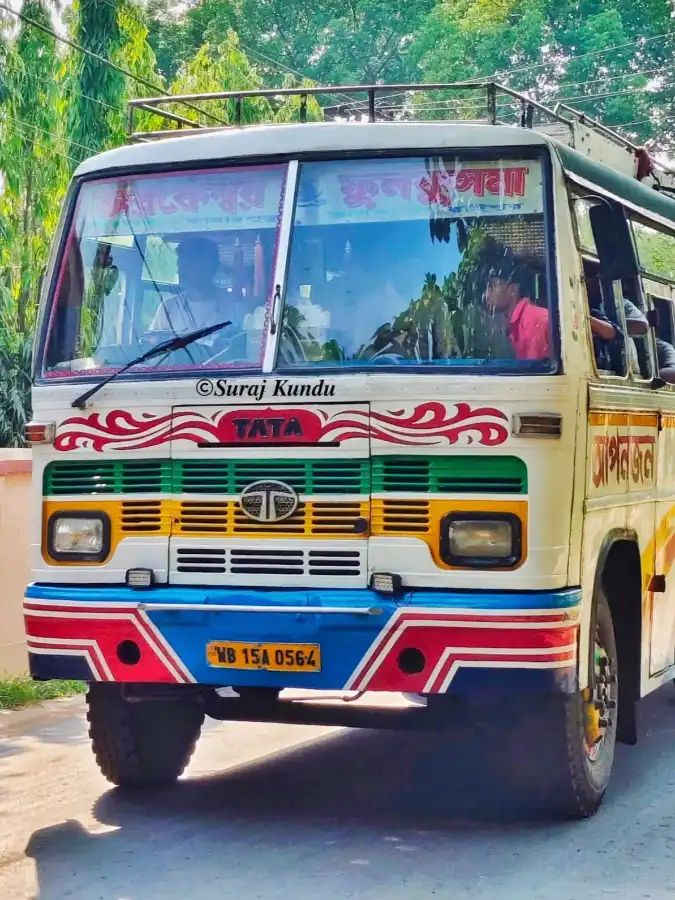 Bus