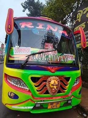 Bus