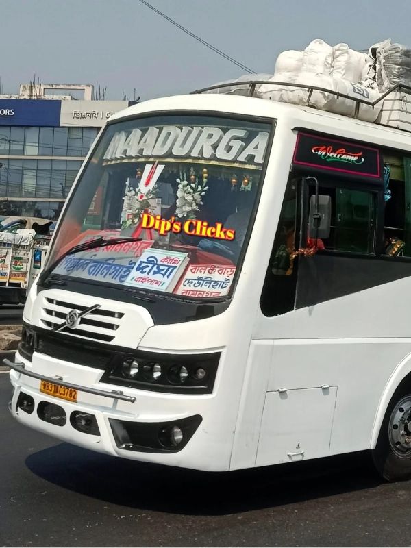 Bus