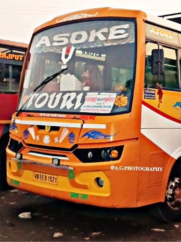 Bus