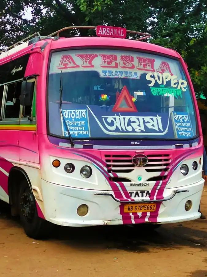 Bus