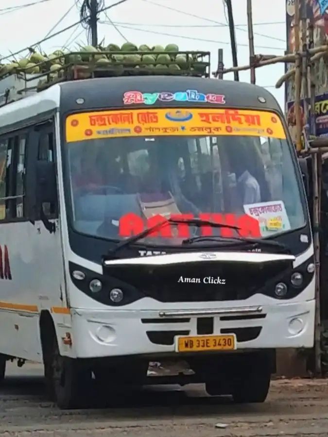 Bus