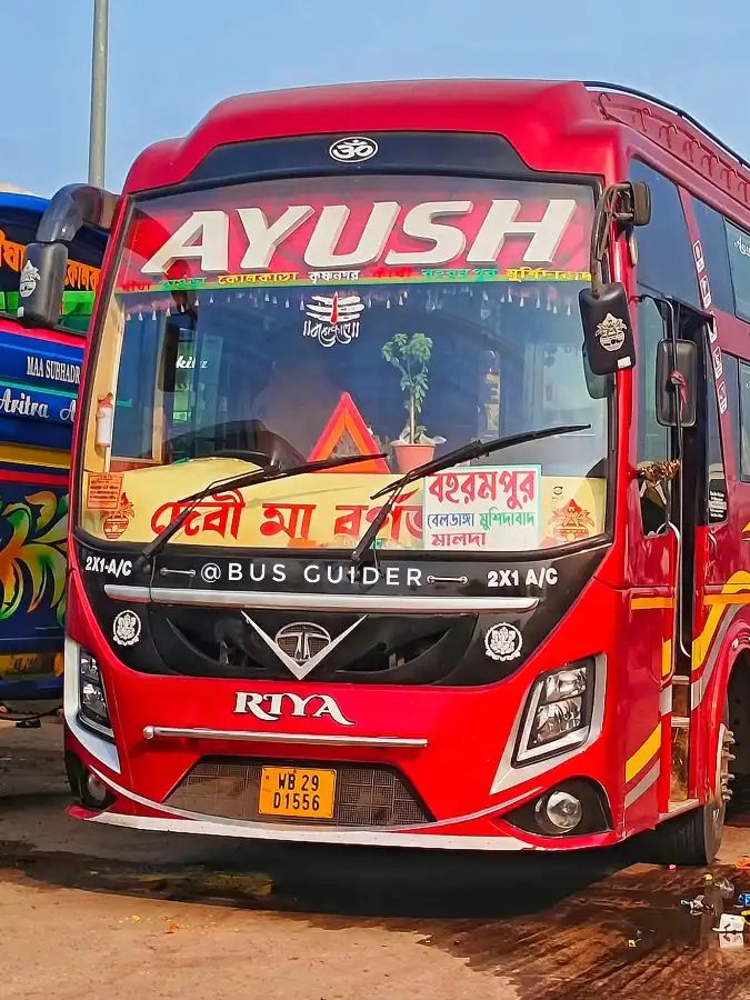 Bus