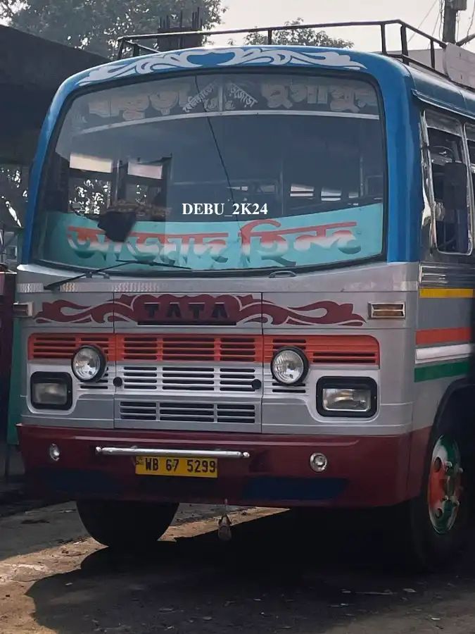 Bus
