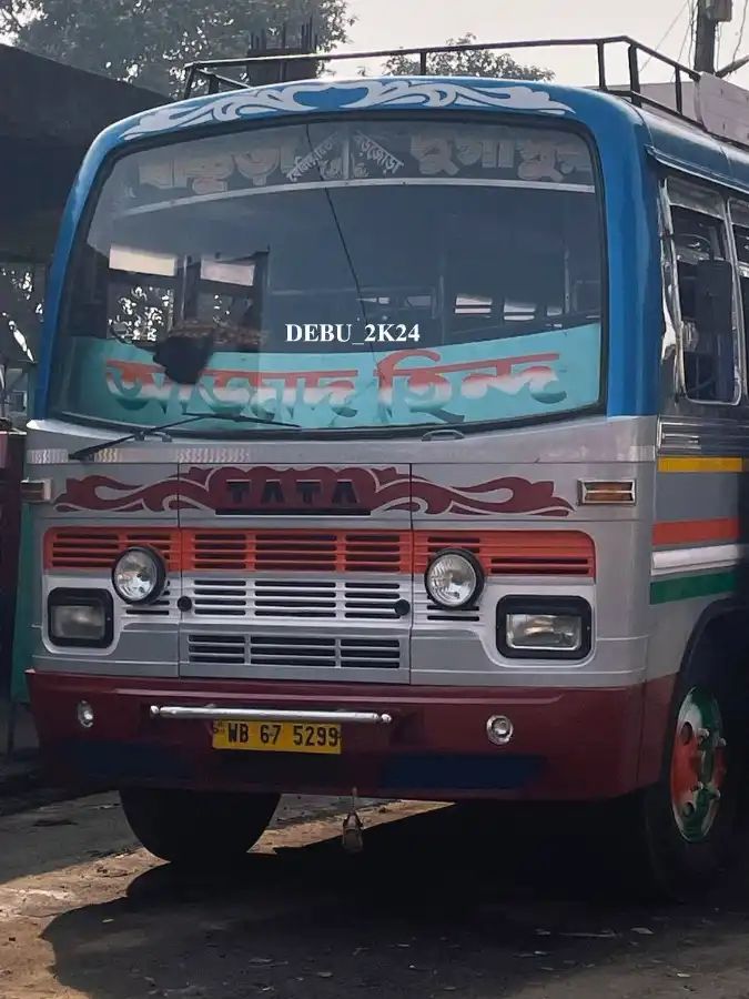 Bus