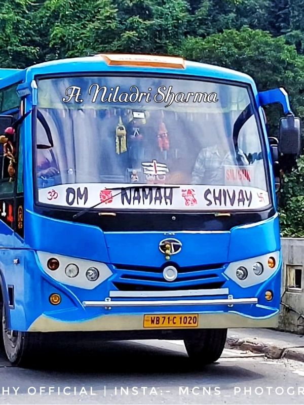 Bus