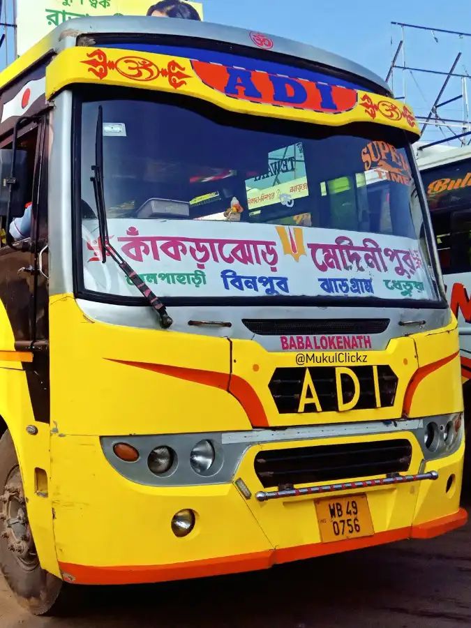 Bus