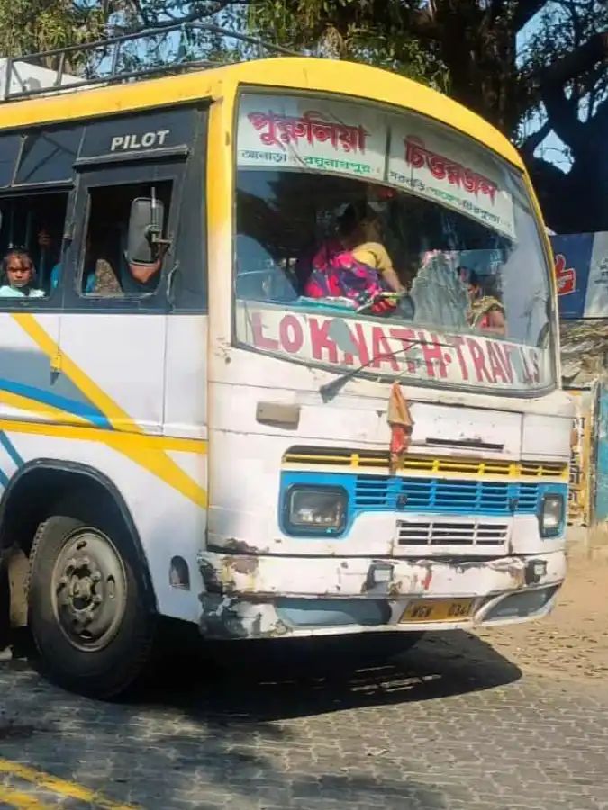 Bus