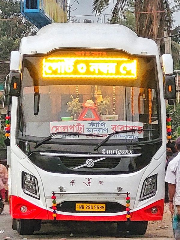Bus