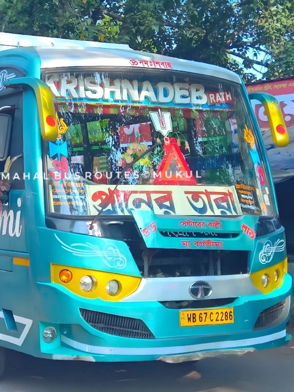 Bus