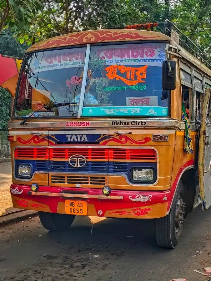 Bus