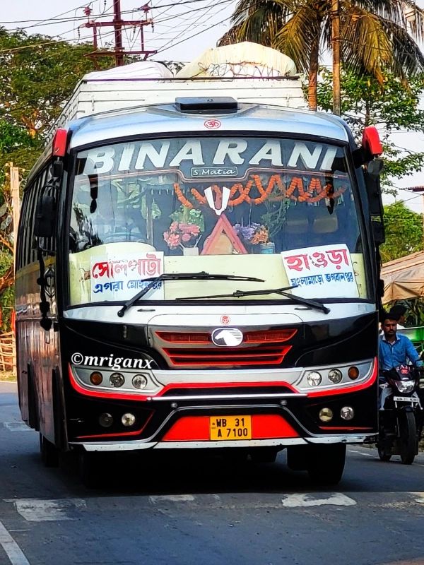 Bus