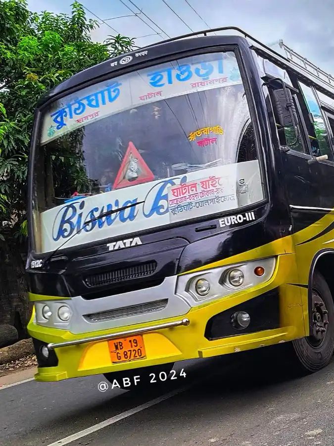 Bus