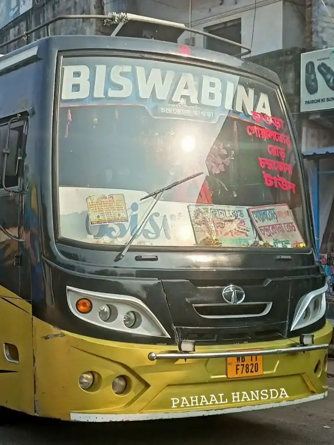 Bus