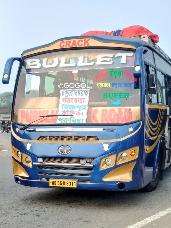 Bus