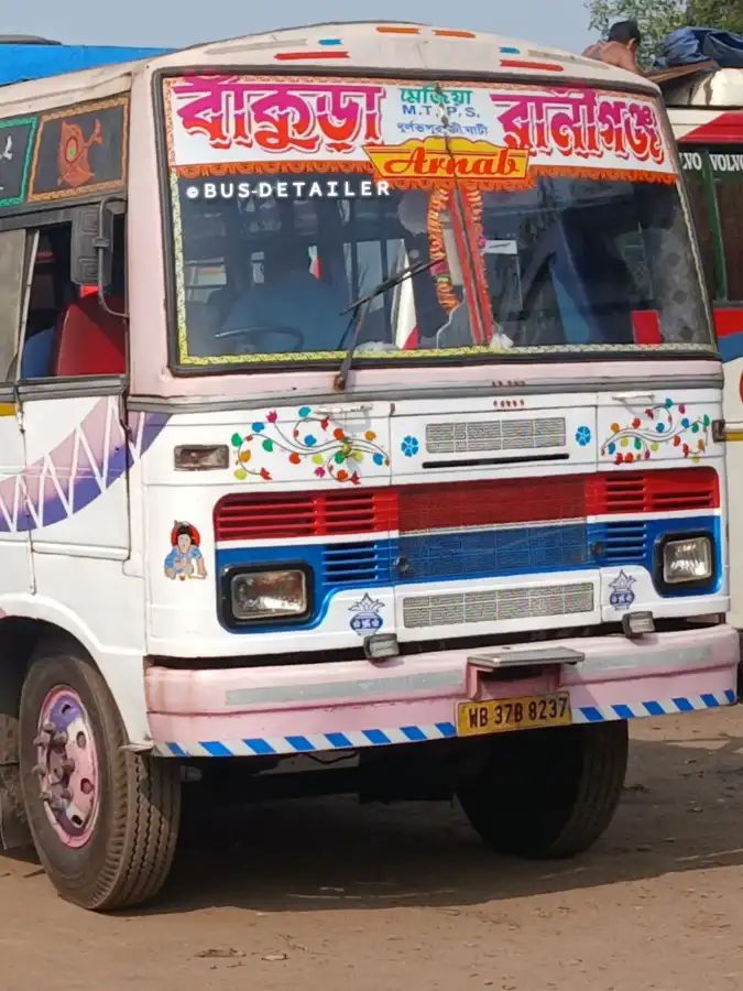 Bus