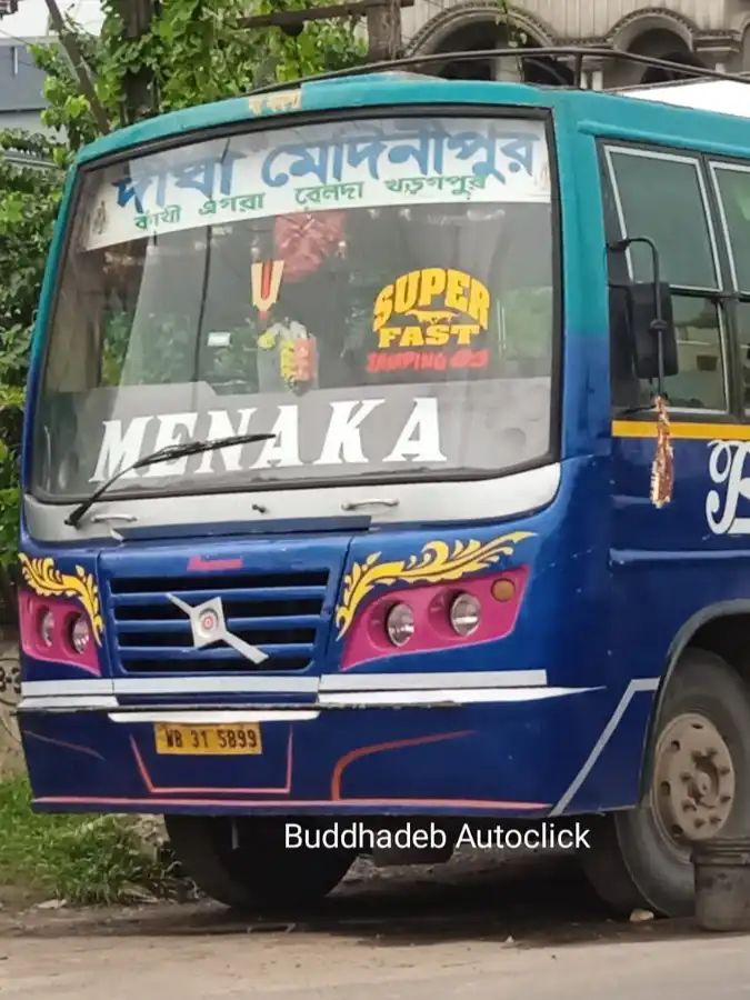Bus