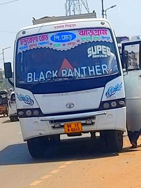 Bus