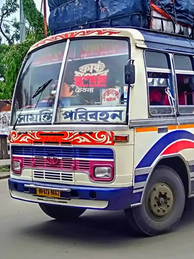 Bus