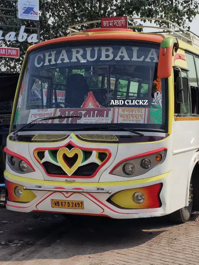 Bus