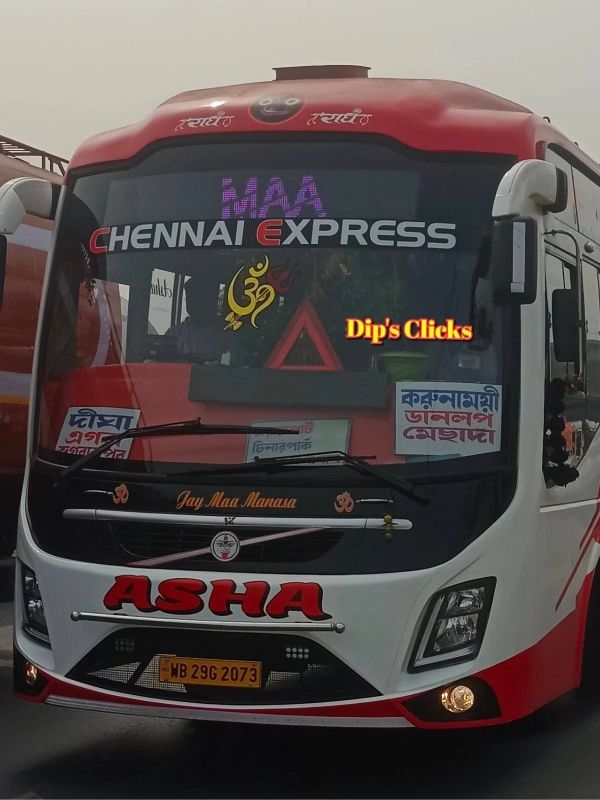 Bus