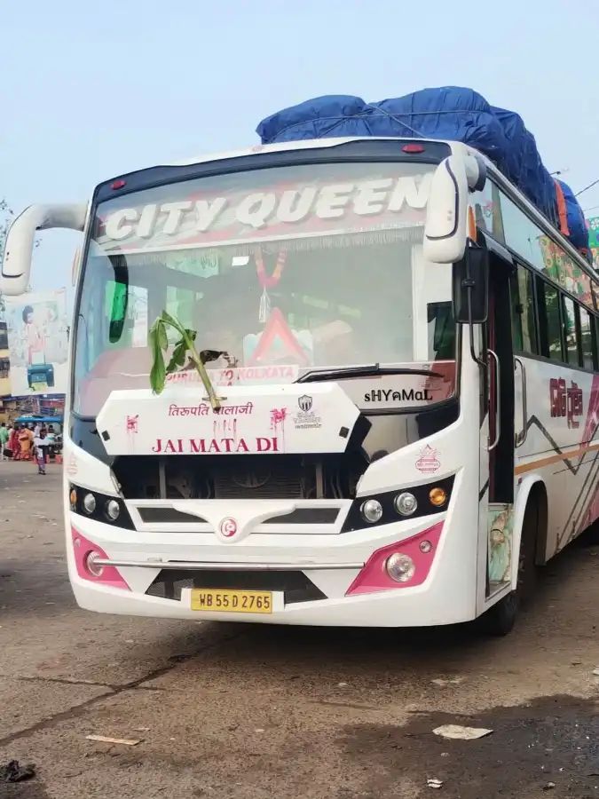 Bus