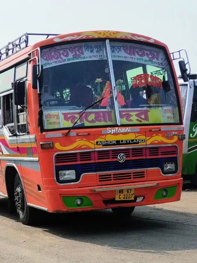 Bus