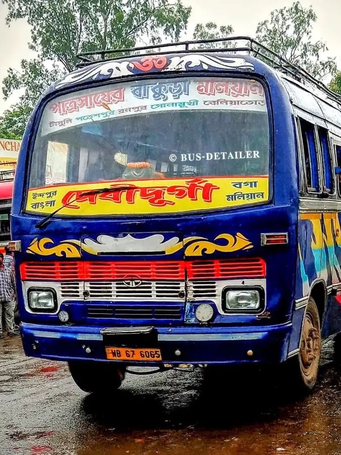Bus