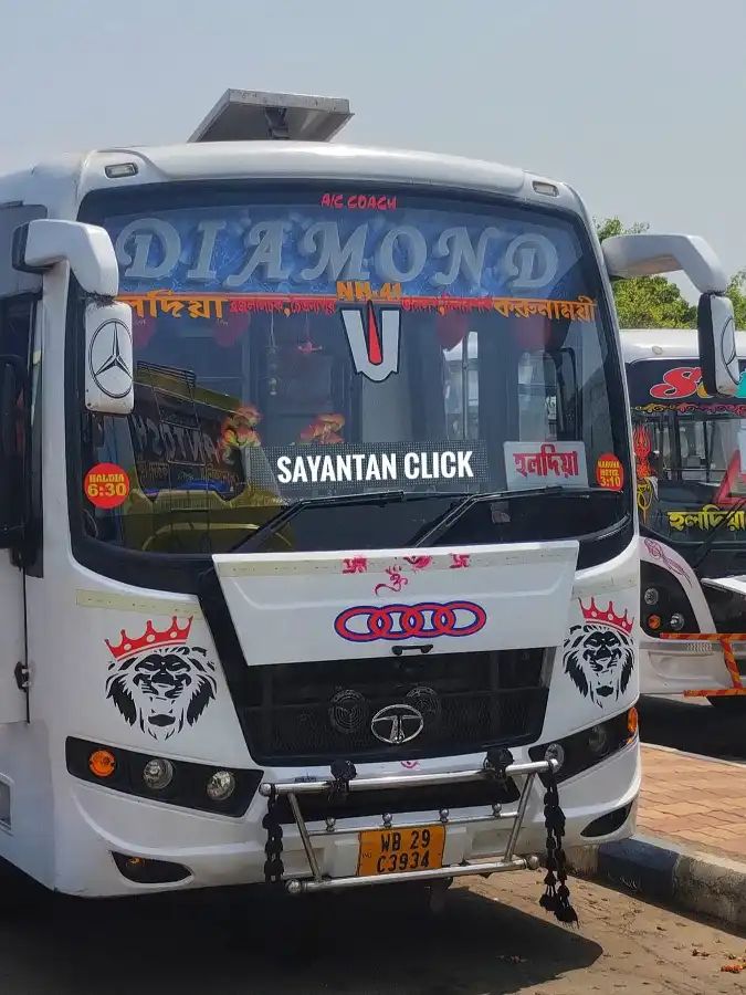 Bus