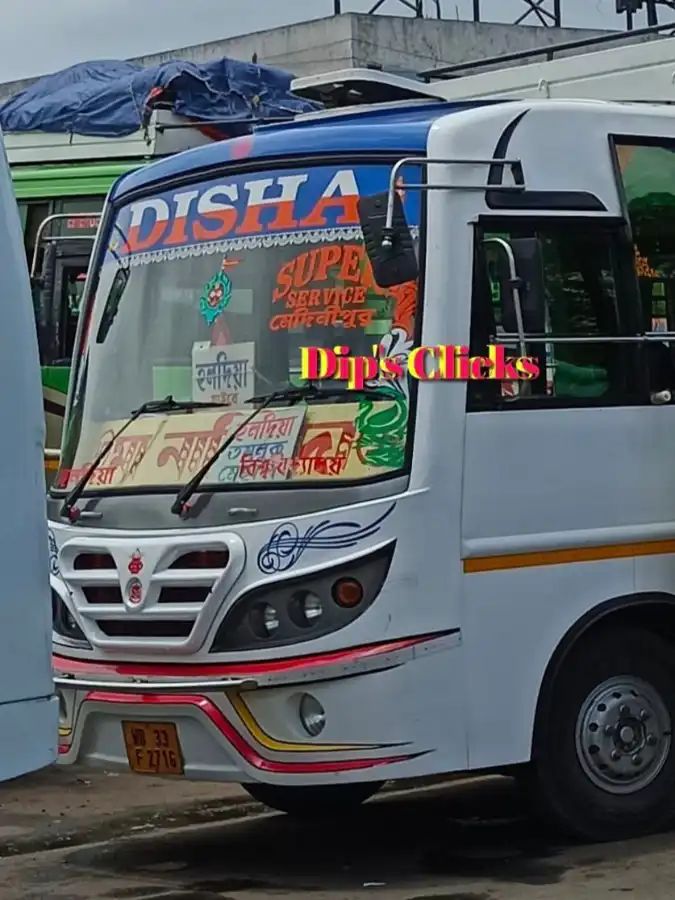 Bus