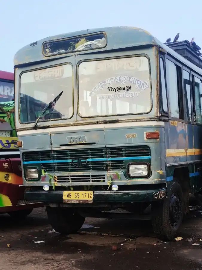 Bus