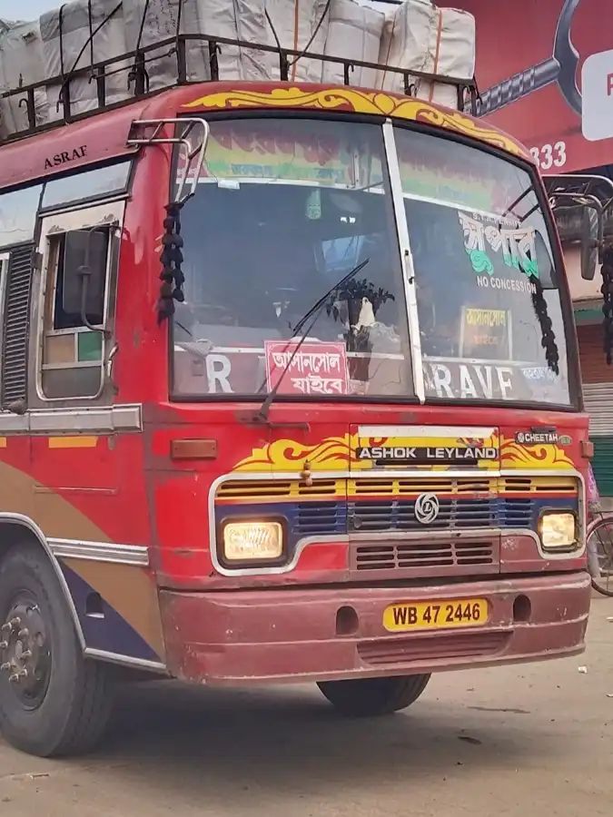 Bus