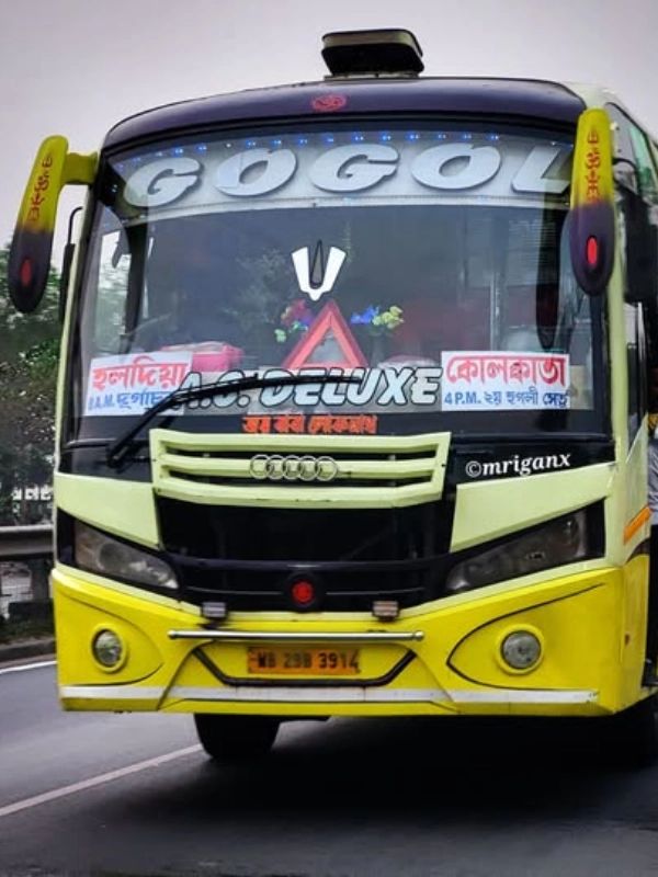 Bus