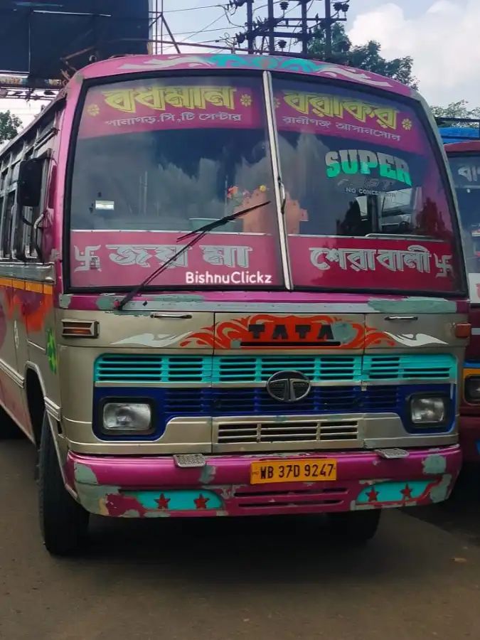 Bus