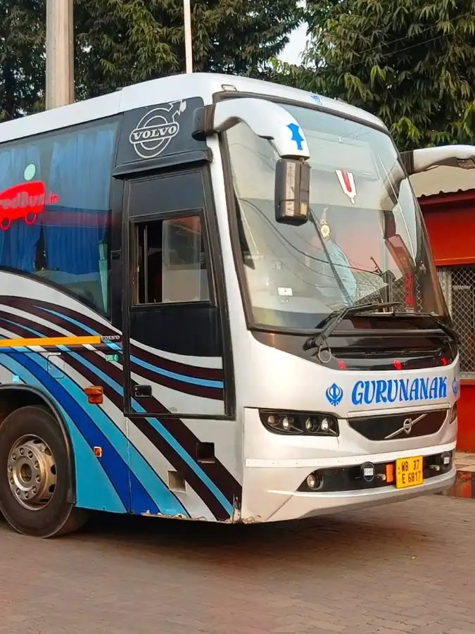 Bus