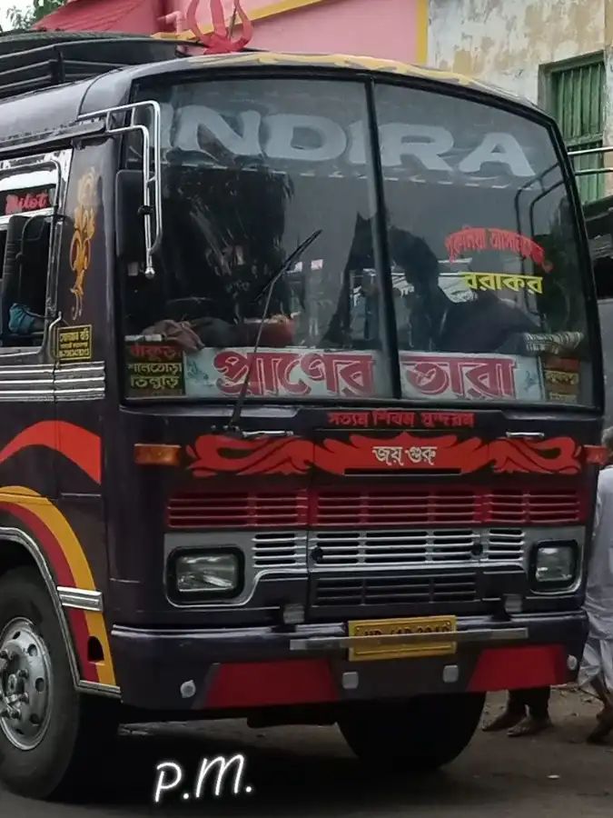 Bus