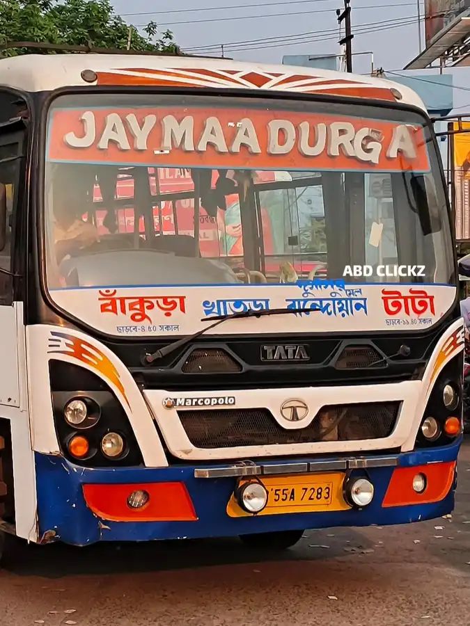 Bus