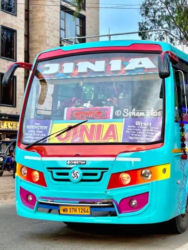 Bus
