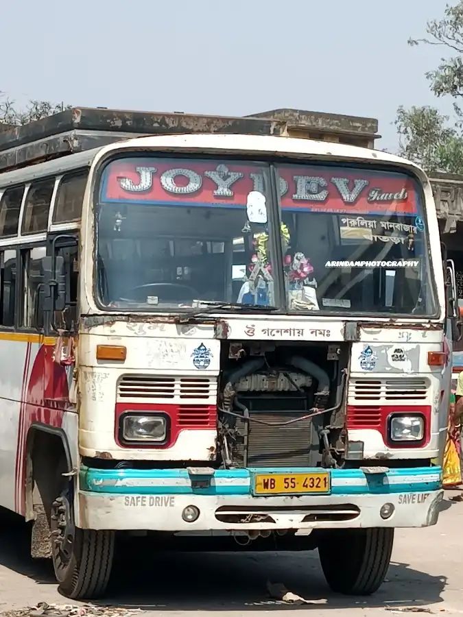 Bus