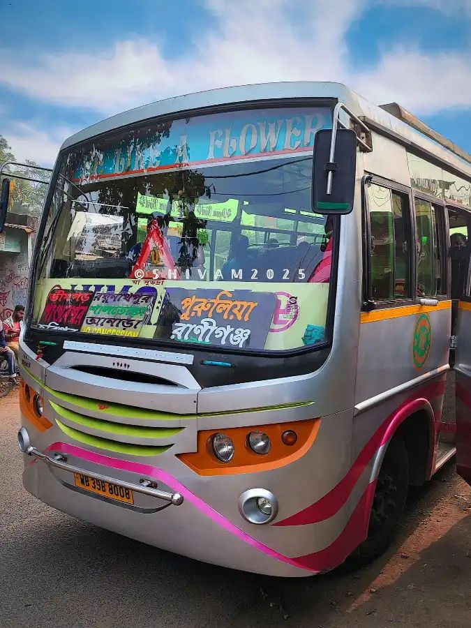 Bus