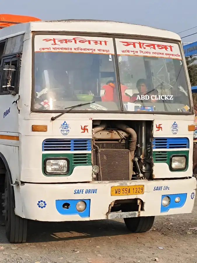 Bus