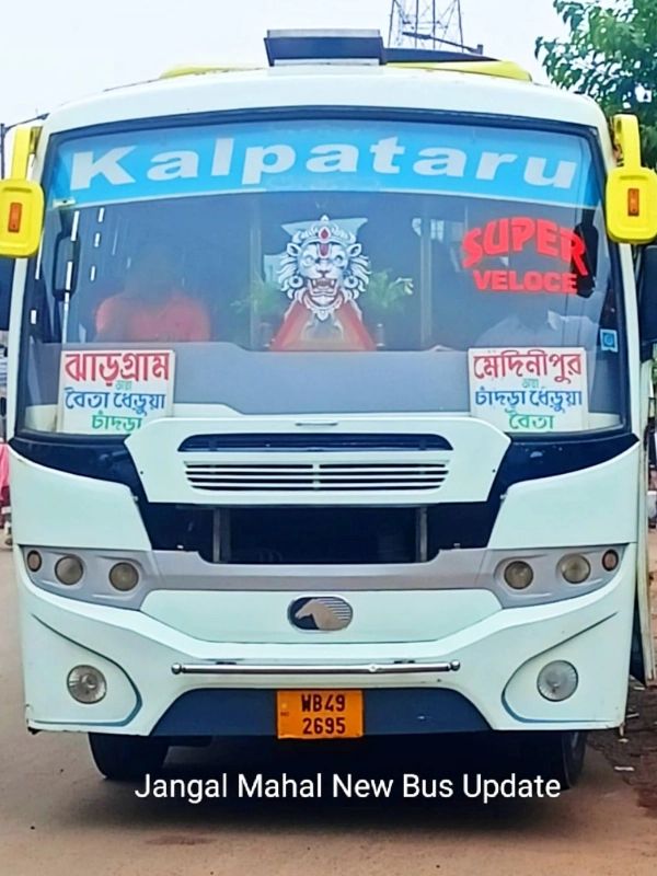 Bus
