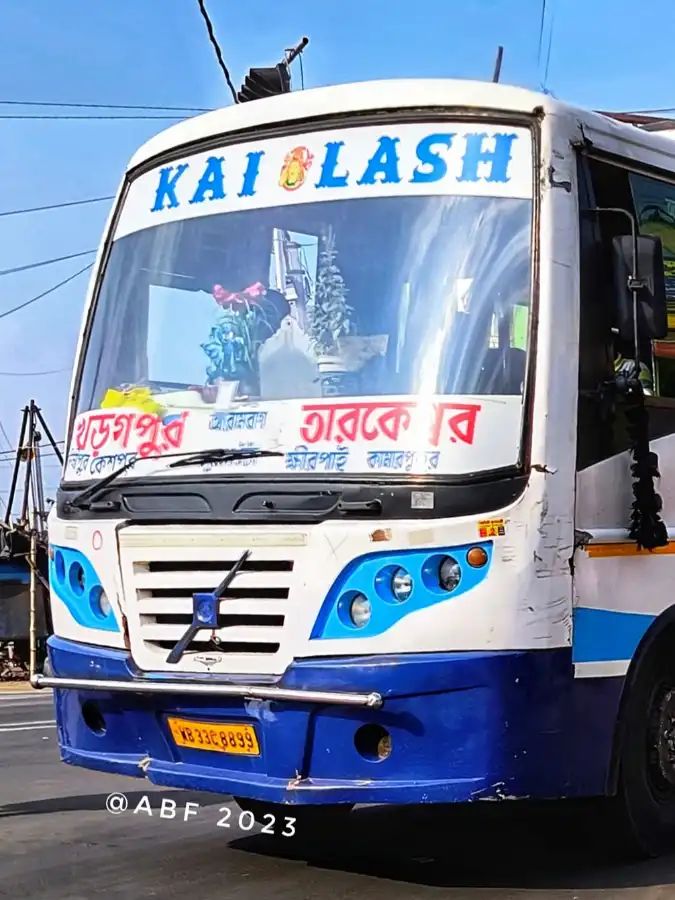 Bus