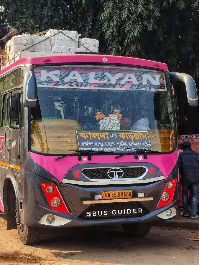 Bus
