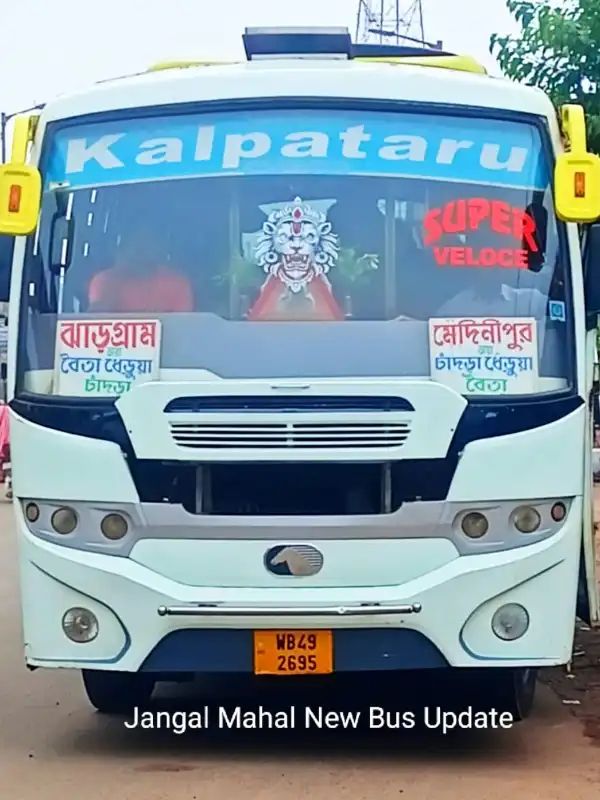 Bus