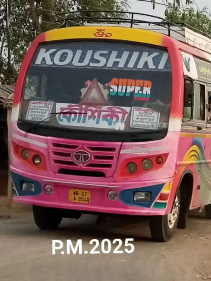 Bus